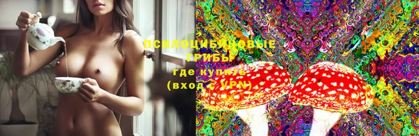 СК Липки