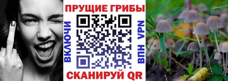Псилоцибиновые грибы GOLDEN TEACHER  дарнет шоп  Никольское 